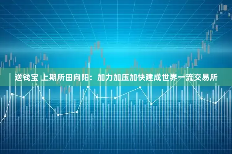 送钱宝 上期所田向阳：加力加压加快建成世界一流交易所