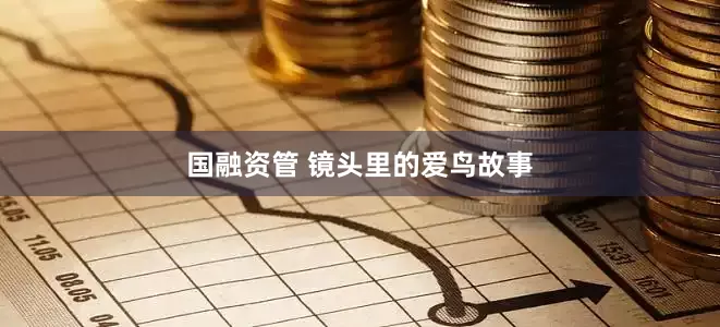 国融资管 镜头里的爱鸟故事