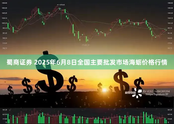 蜀商证券 2025年6月8日全国主要批发市场海蛎价格行情
