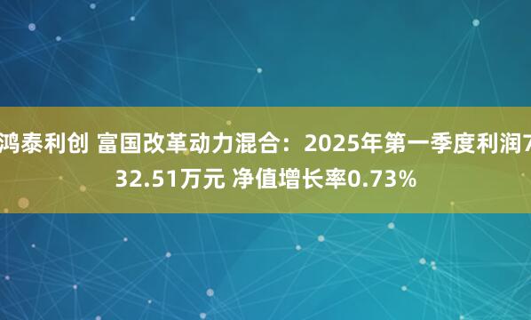 鸿泰利创 富国改革动力混合：2025年第一季度利润732.51万元 净值增长率0.73%